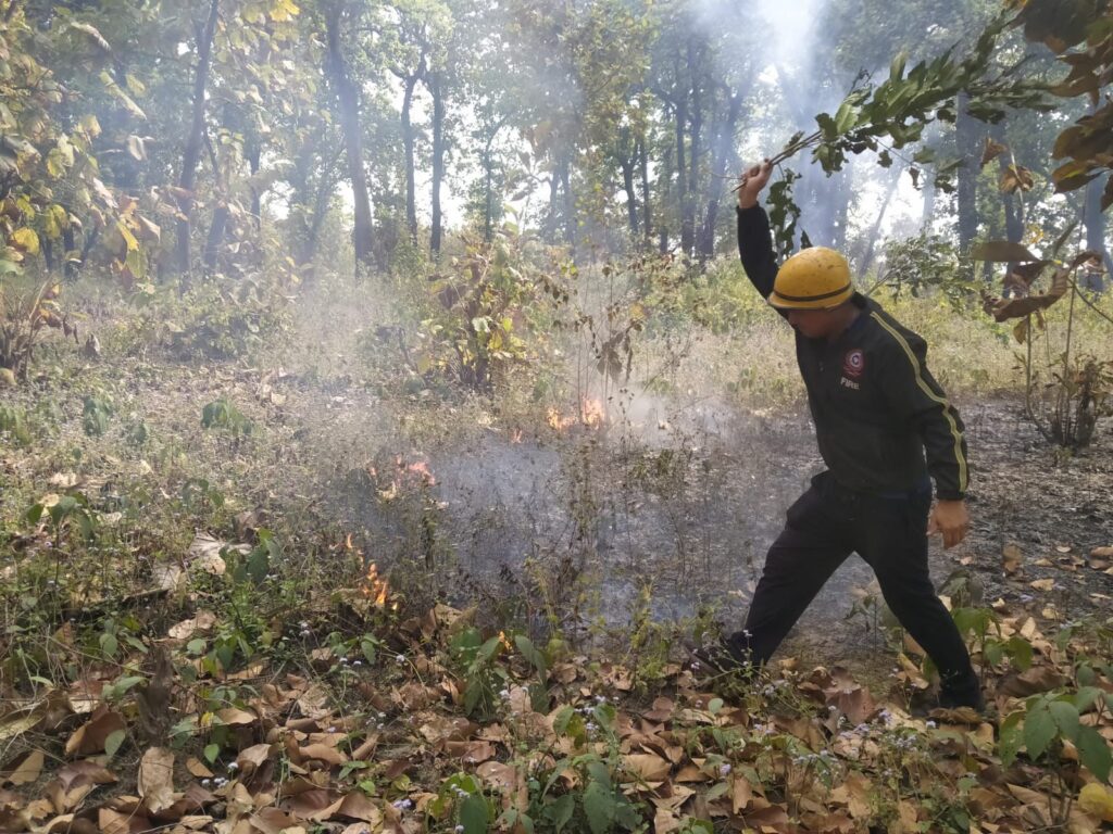 टनकपुर में जंगल की आग पर फायर यूनिट की तत्परता से काबू 